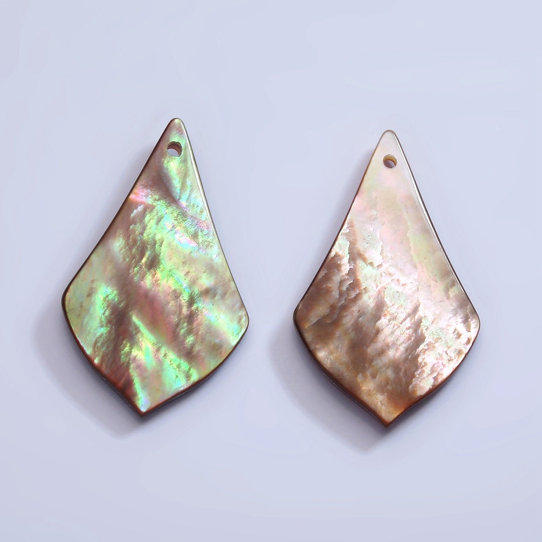 Blue Abalone Sea Shell, Size: Inch At Best Price In Tirupati | ID - Foto 5