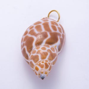 Può includere: Un ciondolo a conchiglia naturale con un anello color oro. Il guscio presenta un motivo maculato marrone e bianco. Questo ciondolo è un gioiello unico, perfetto per chi ama gli accessori a tema costiero o spiaggia.