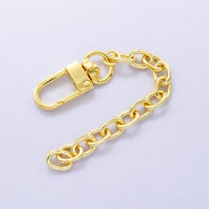 May include: A gold-toned metal chain with a lobster clasp. The chain is about 5 inches long.