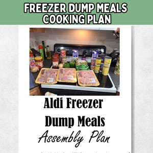 Pode incluir: Um close-up de um balcão de cozinha com ingredientes para uma refeição de congelador. Os ingredientes incluem peitos de frango, tomates enlatados, feijões enlatados e temperos. O texto na imagem diz "Aldi Freezer Dump Meals Assembly Plan".