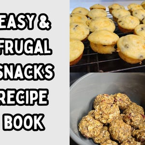 Cheap and Easy Snack Recipe Book; 20 Protein Snacks, Baked & No-Bake; Recipes, Pre-Filled Grocery Lists, Cost Breakdown