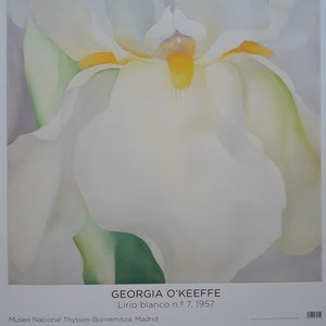 Georgia O&#39;Keefe original art poster - 27.0&quot;×38.6&quot; (68.7×98cm)