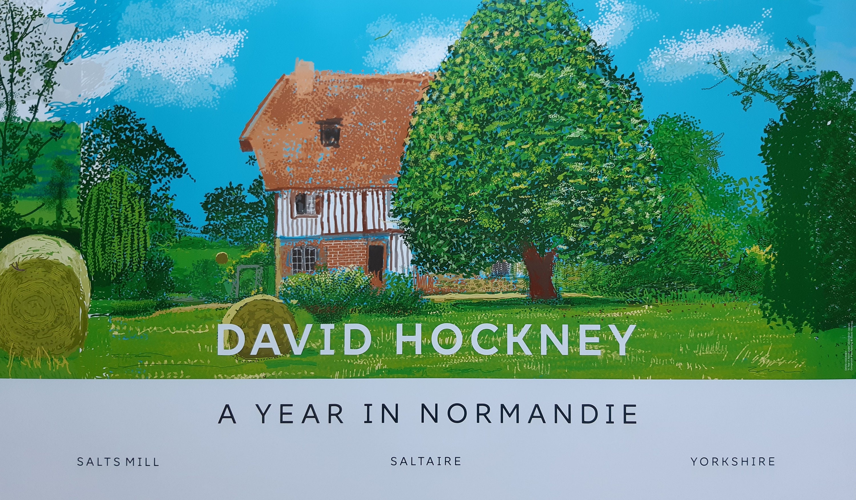 David Hockney Original Art Poster - 39.2