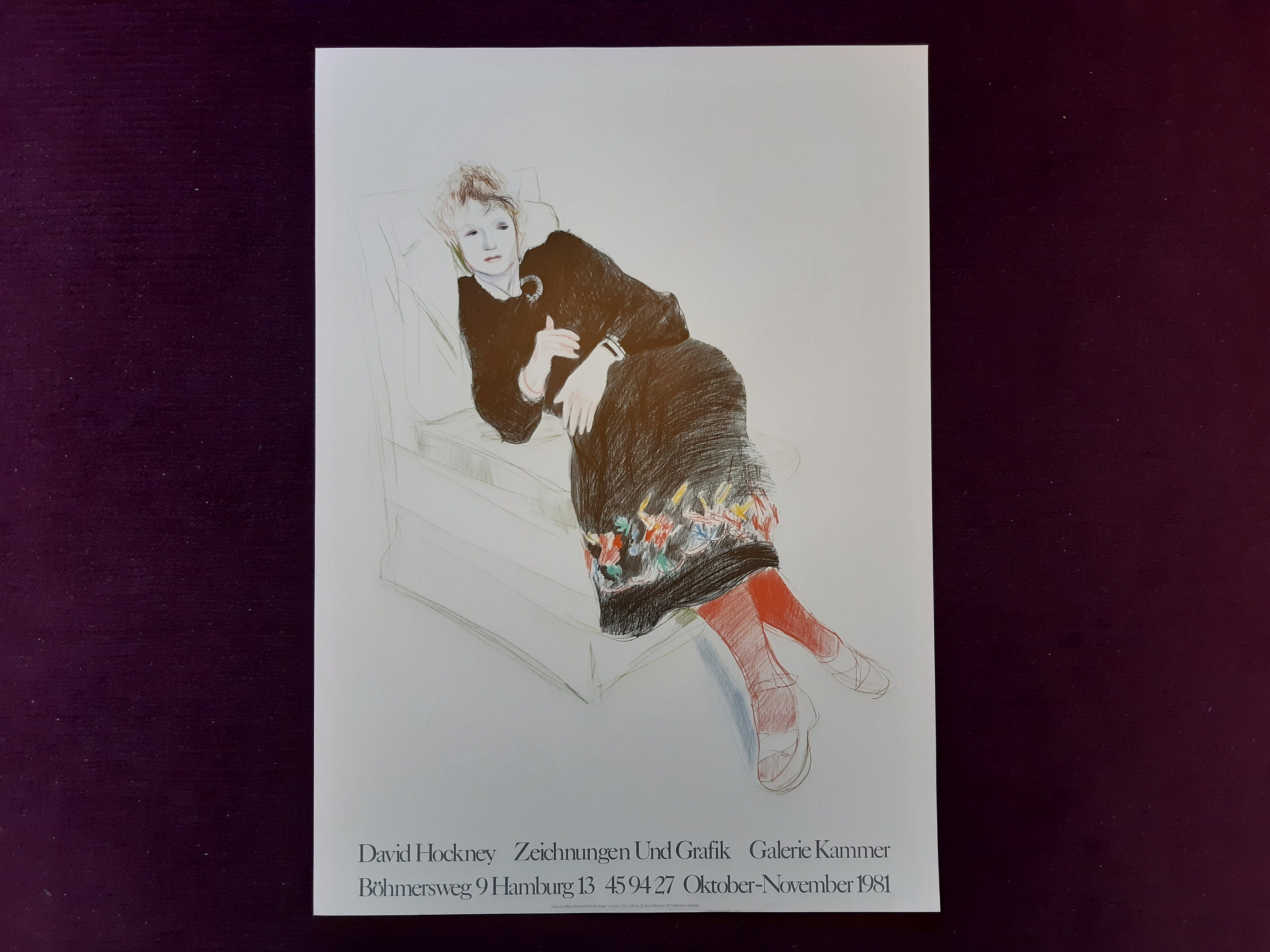 デヴィッドホックー ポスターズ ISBN O-51 7-5658 4-6