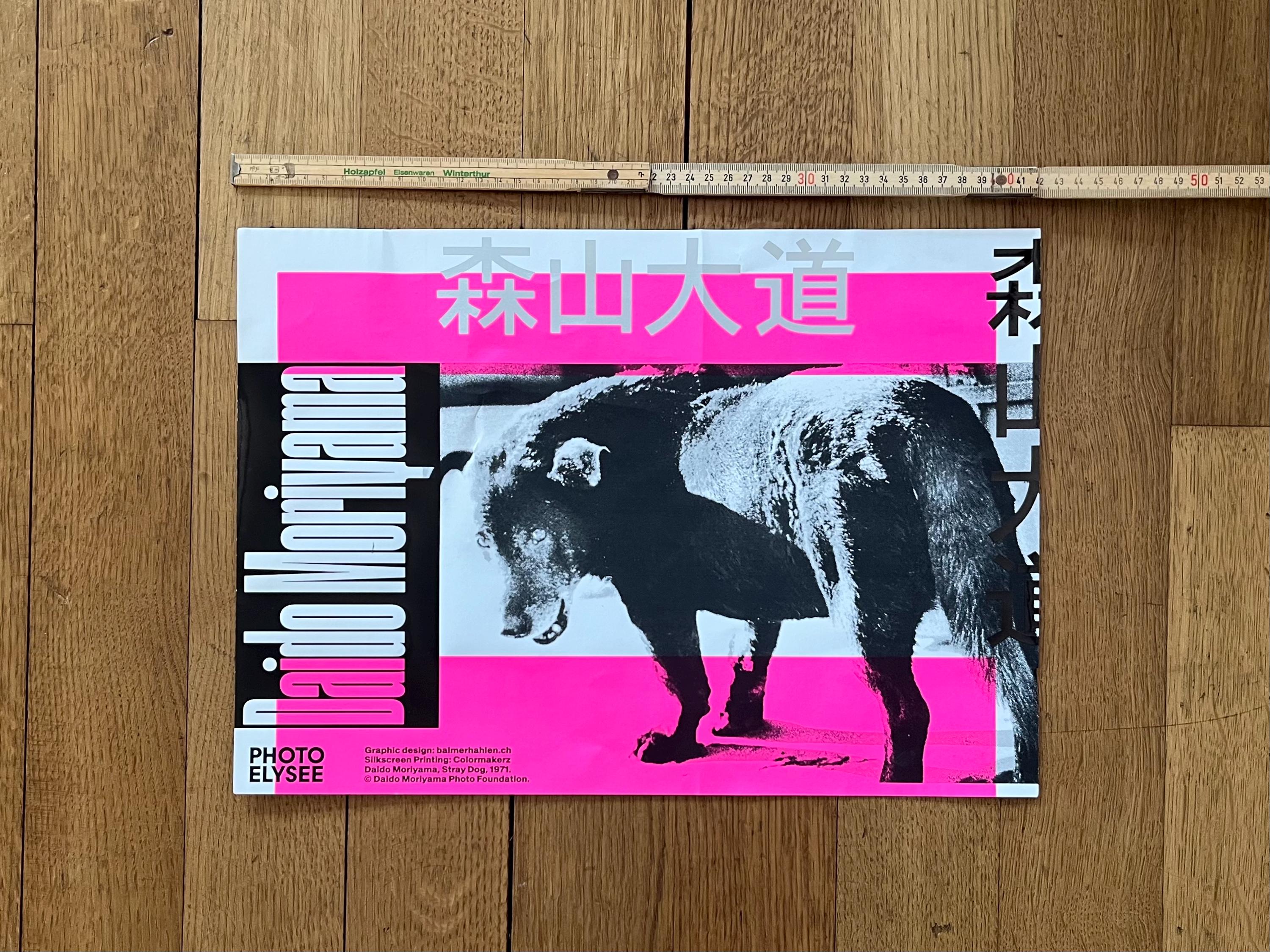 daido MORIYAMA: stray dog 写真集（海外版）【中古】 Daido Moriyama Vintage Stray Dog, Misawa, Aomori Available For