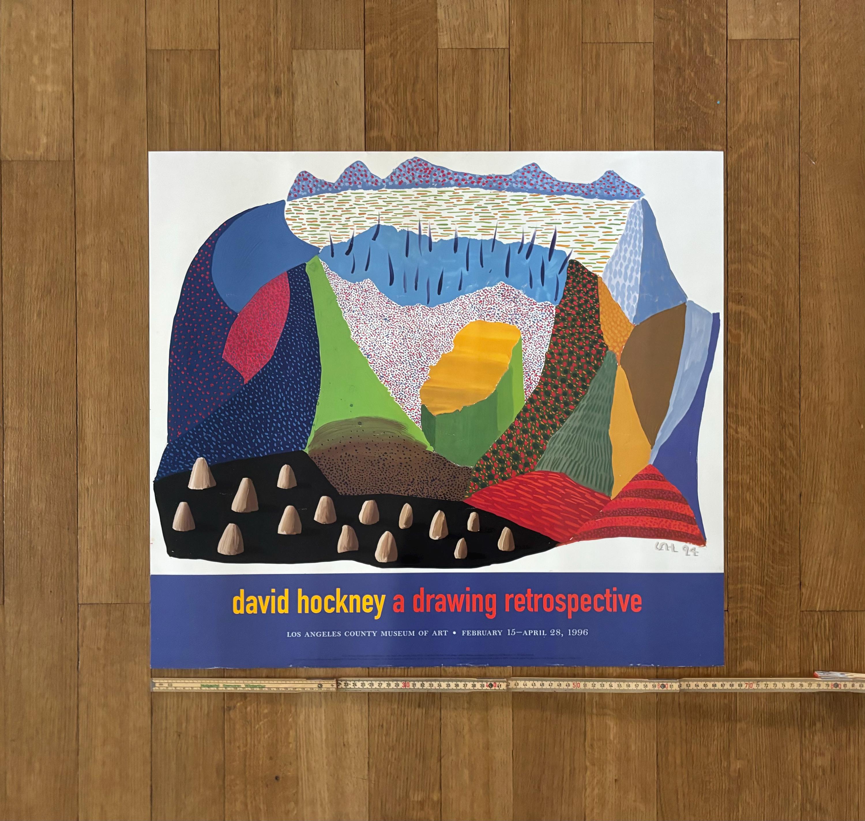 David Hockney Original Art Poster - 26.8