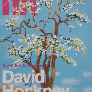David Hockney Originalkunstwerk - 50,5×75,5 cm