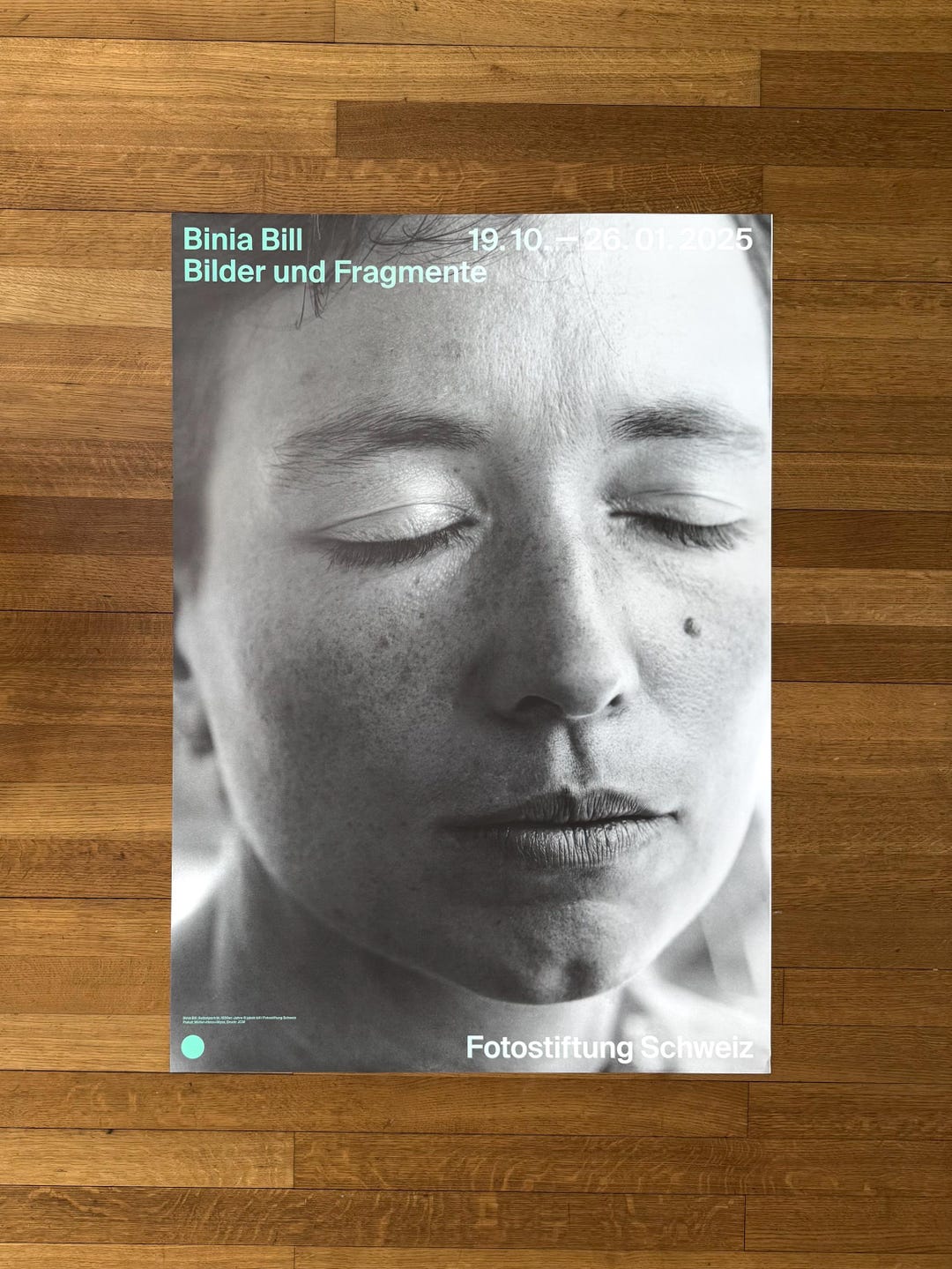 Binia Bill - Fotostiftung Schweiz Original Art Poster Used - 35.8