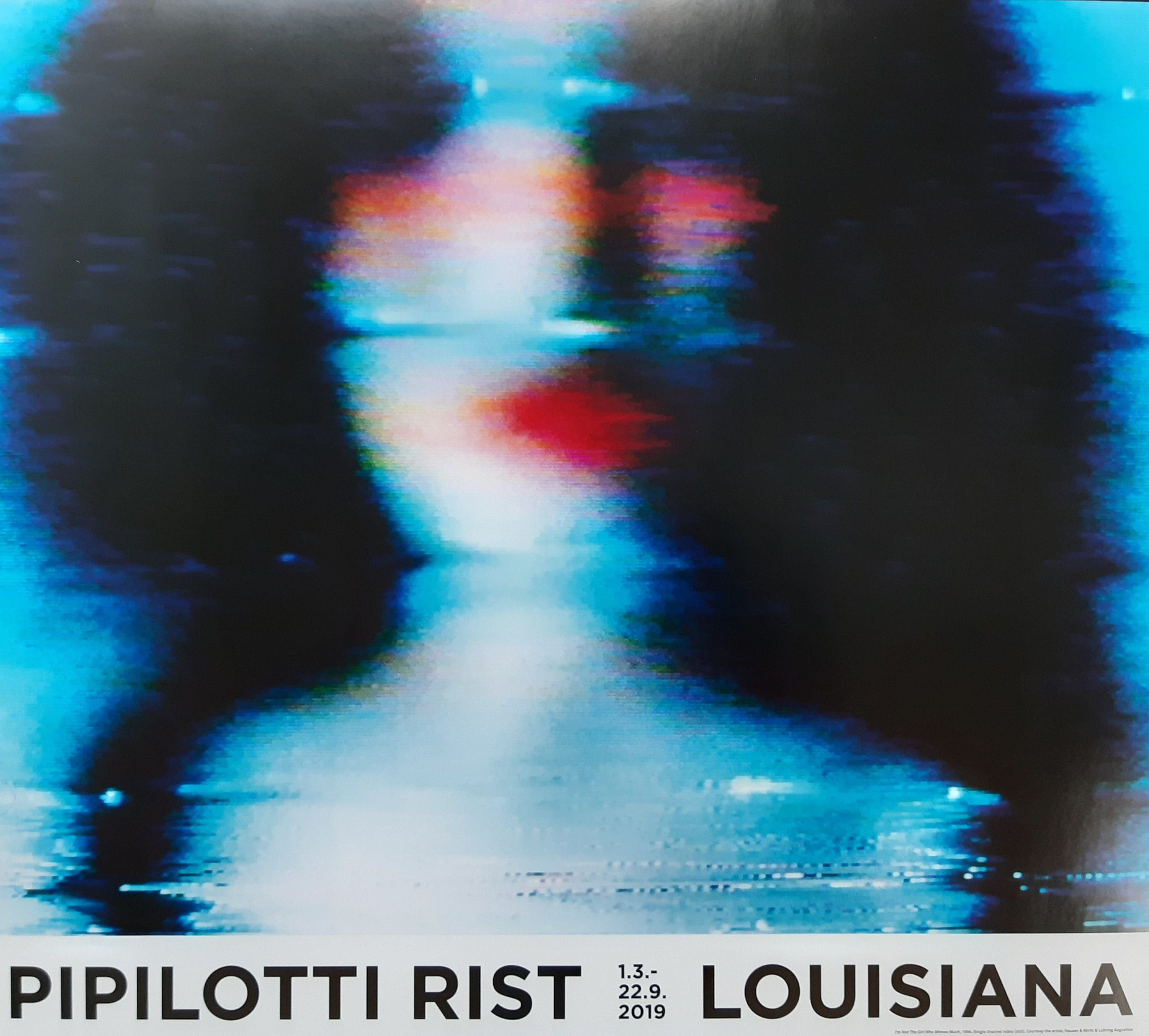 Pipilotti Rist original Kunst Poster Etsy.de