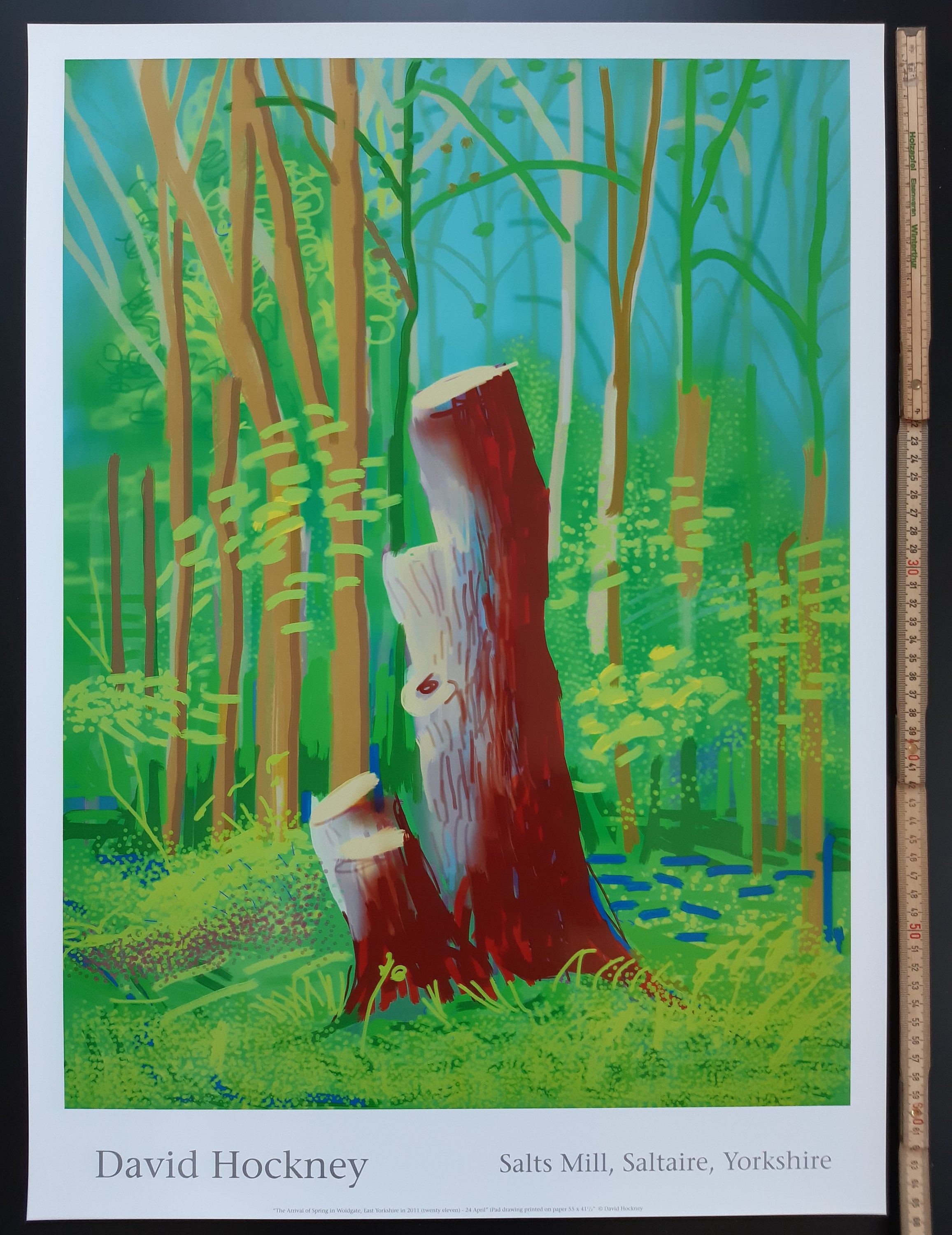 レア　David Hockney ポスター s-l400.jpg