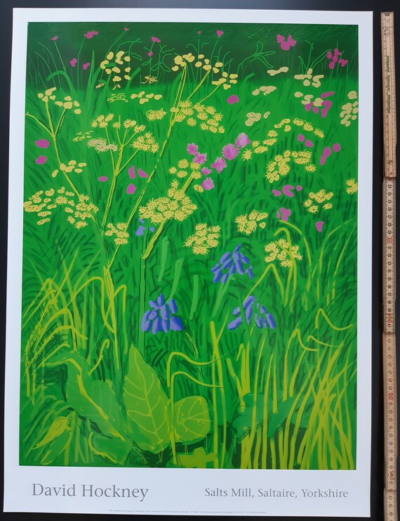 デイヴィッド・ホックニー オリジナルアートポスター - 18.7インチ