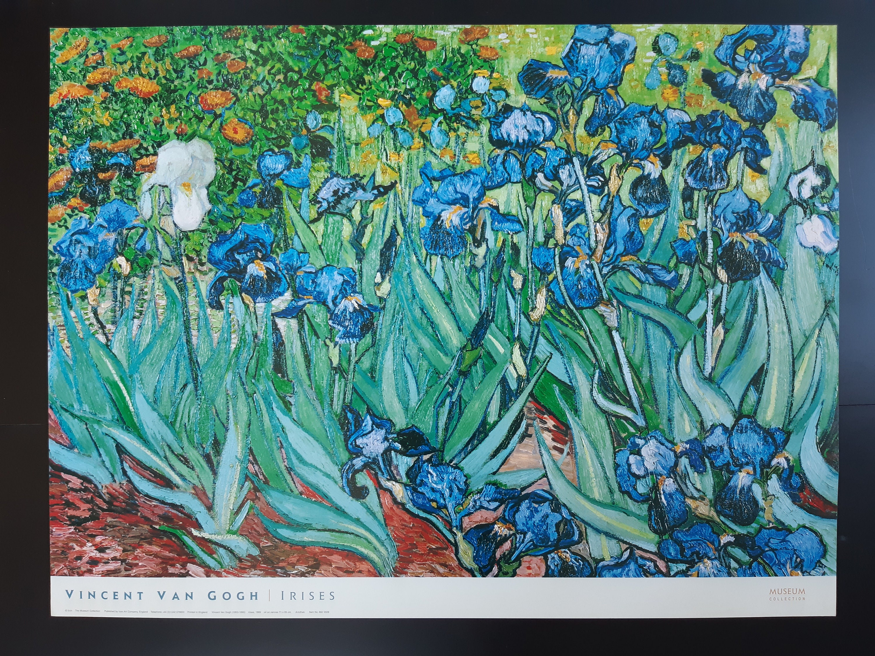 Van Gogh Original Art Print - 31.5