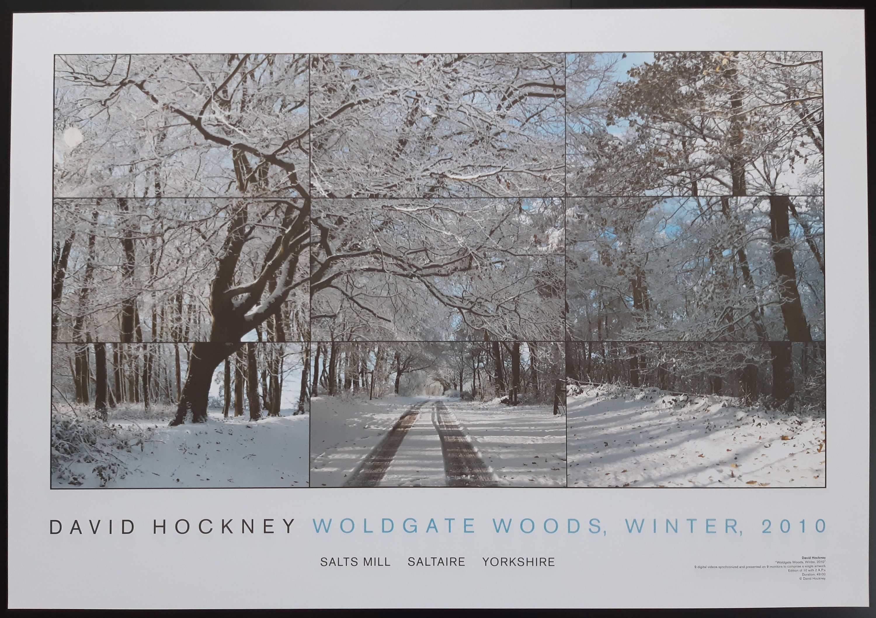 David Hockney Original Art Poster - 19.2