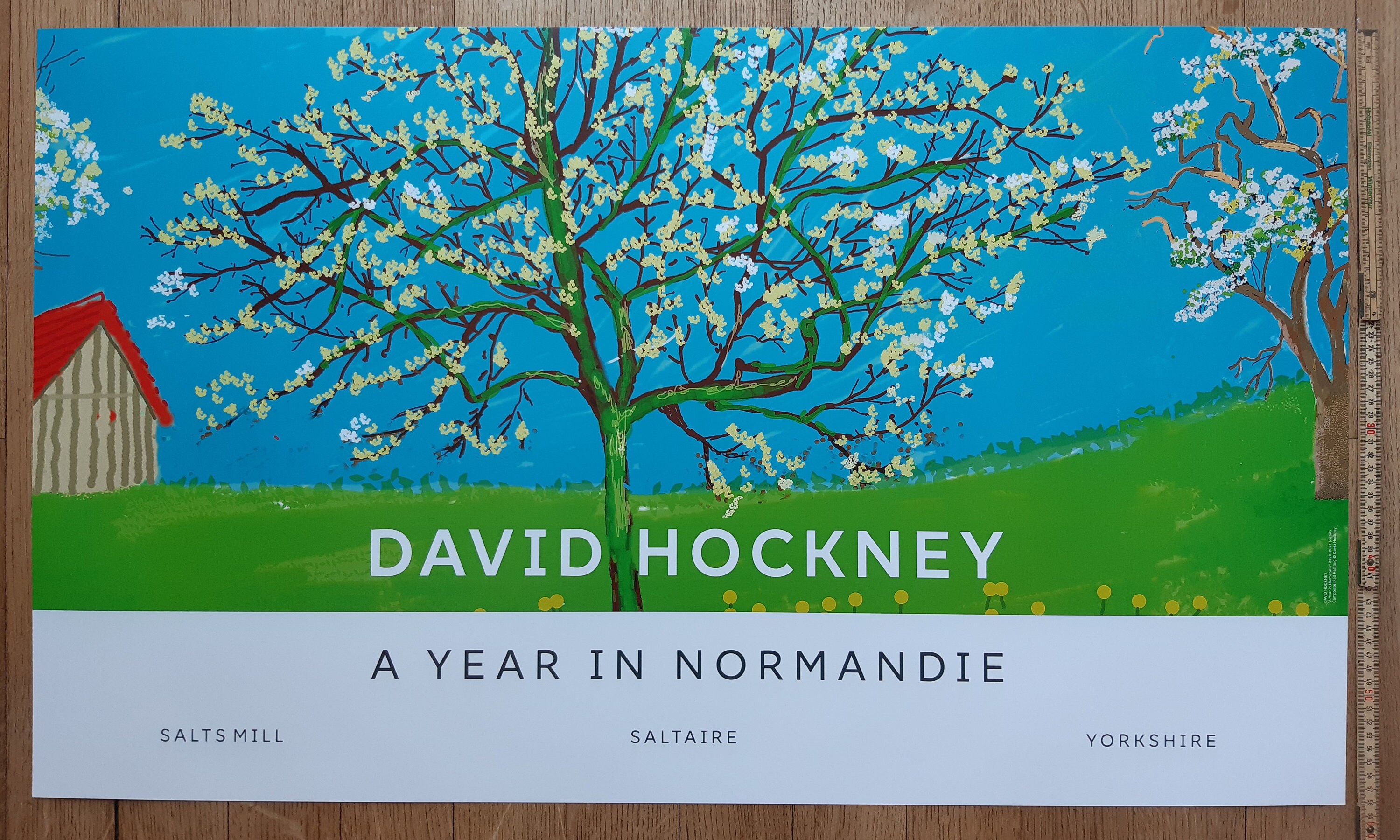David Hockney Original Art Poster - 39.2