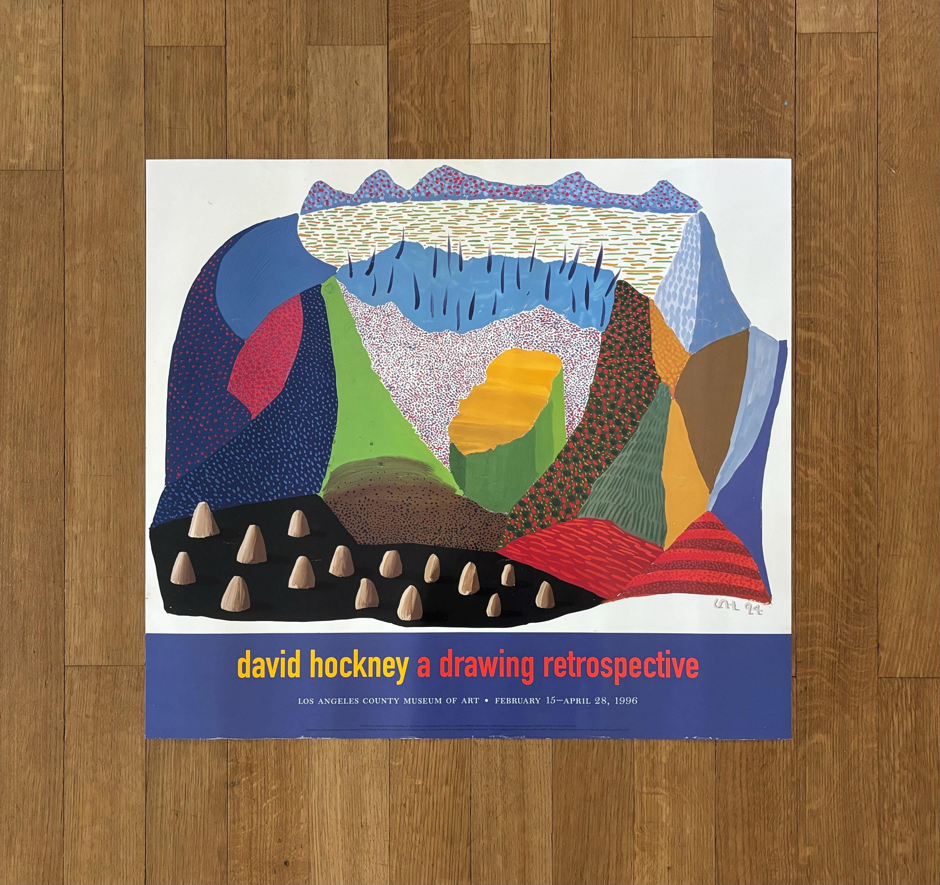 David Hockney ポスター David Hockney Lithograph Print Tate Britain Framed Pop Art
