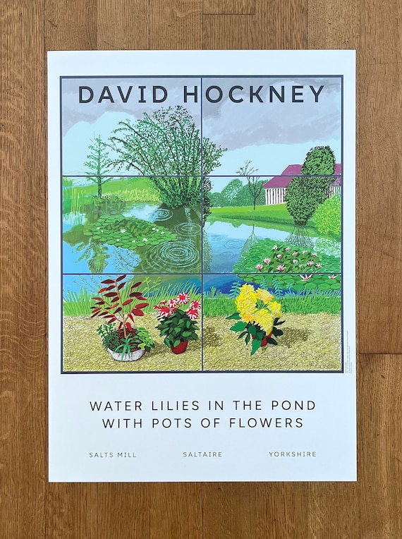 David Hockney Original Art Poster - 19.7