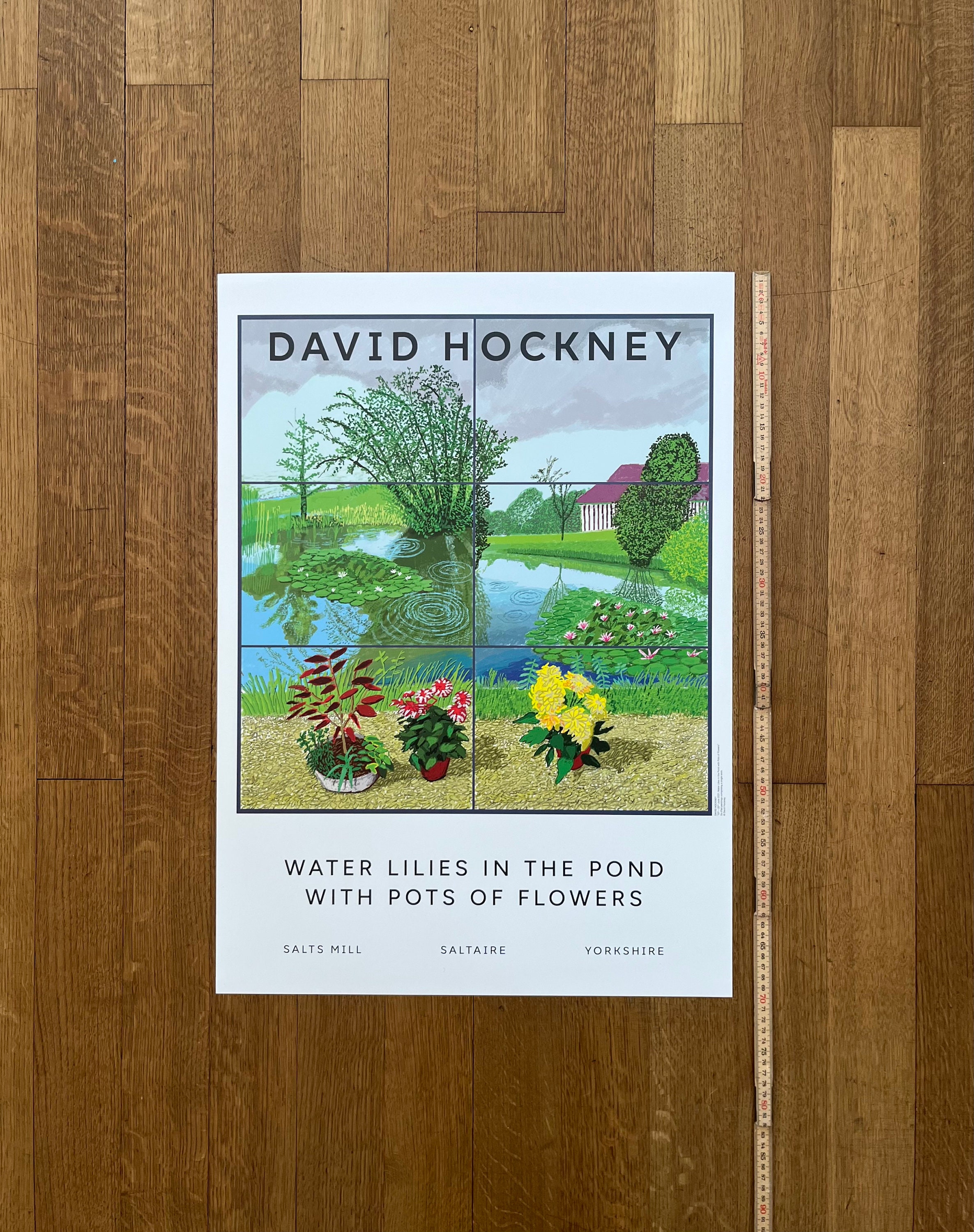 David Hockney Original Art Poster - 19.7