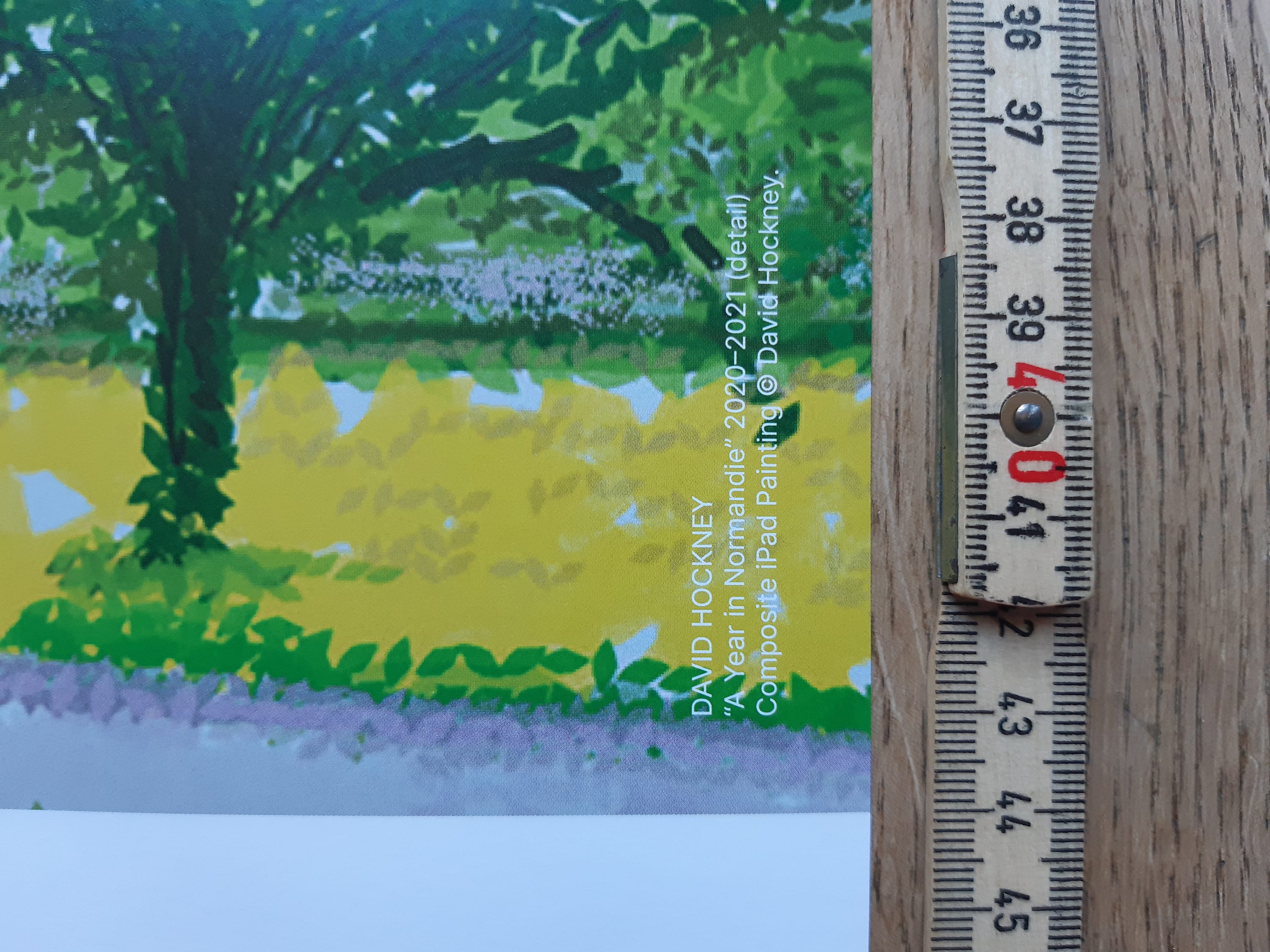 David Hockney Original Art Poster - 39.2