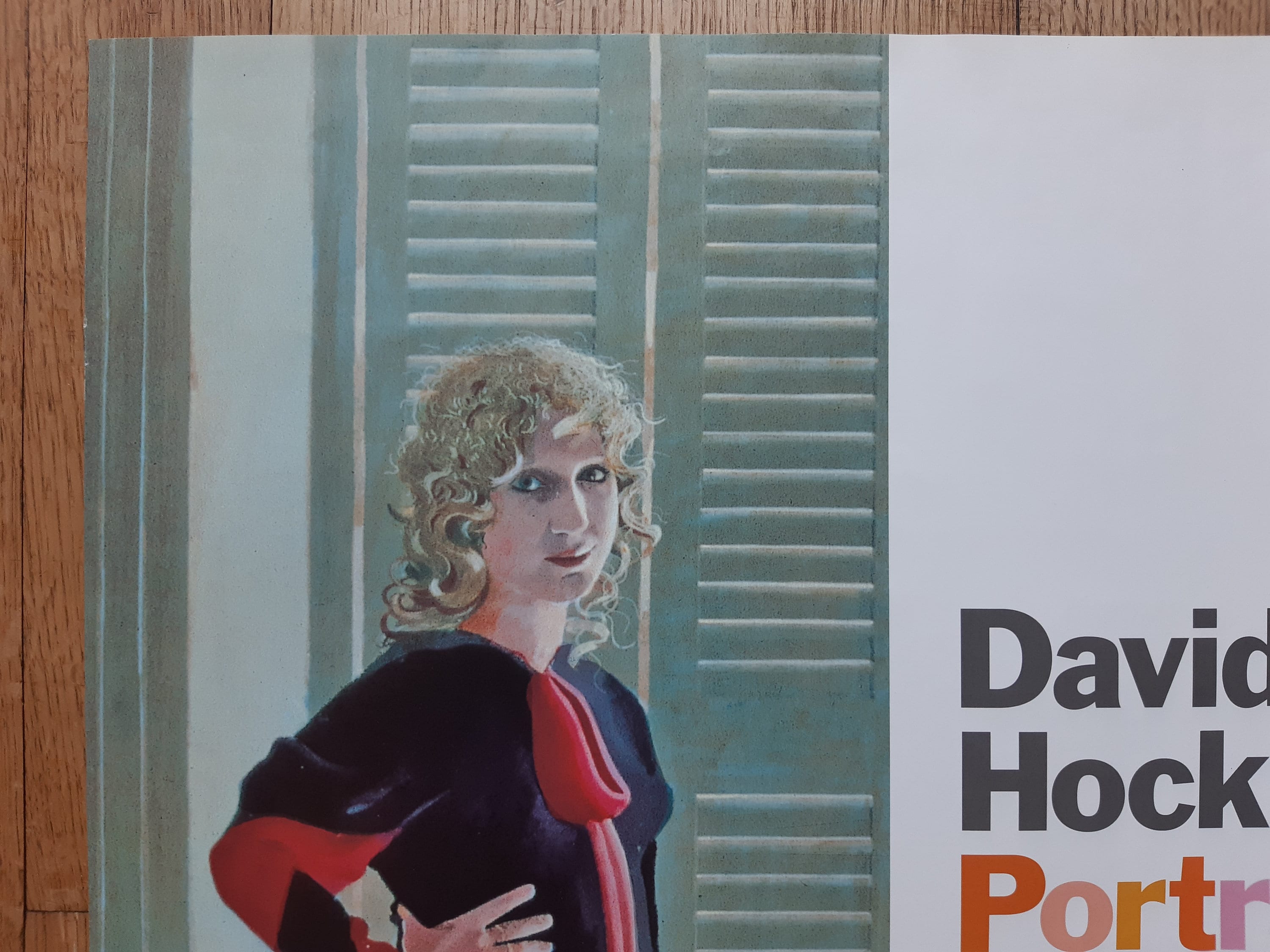 David Hockney Original Art Poster - 20.1