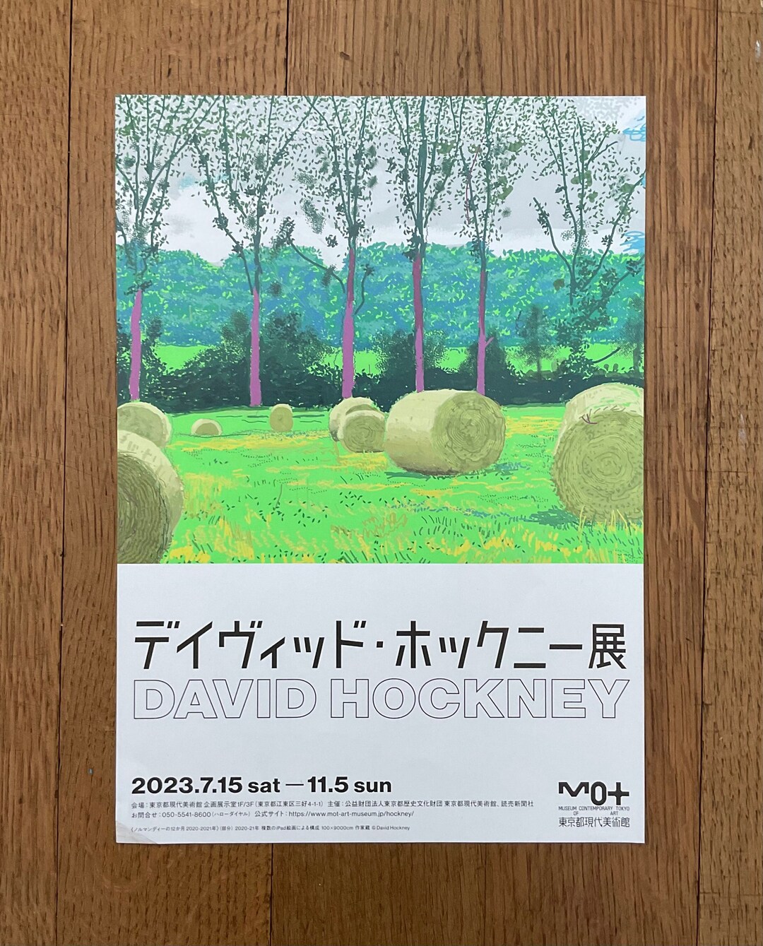 【訳あり】デイヴィッド・ホックニー展 海外ポスター③ A1 Louisiana 訳あり】デイヴィッド・ホックニー展 海外ポスター③ A1