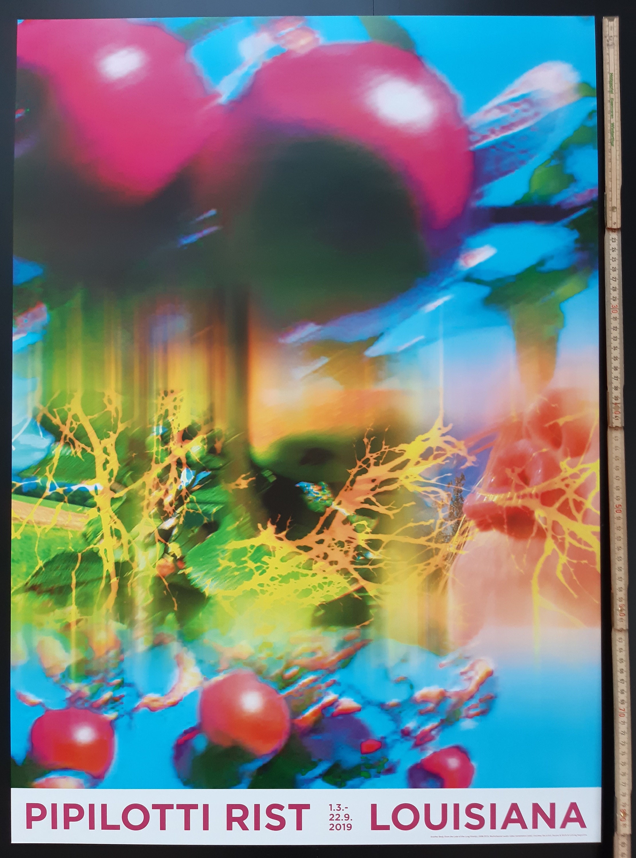 Pipilotti Rist Original Art Poster - 23.2