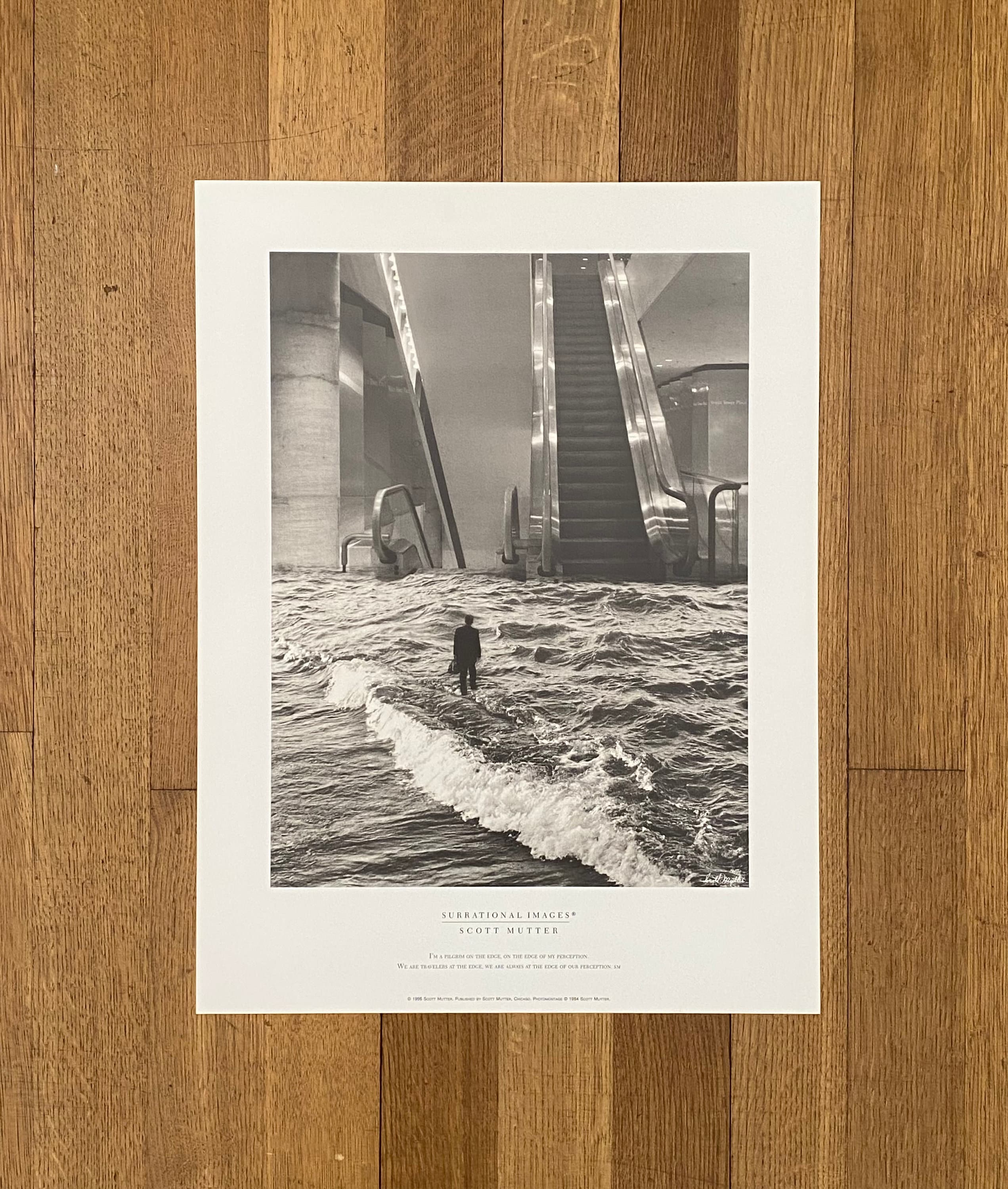 Scott Mutter Original Photography Poster - Etsy Canada