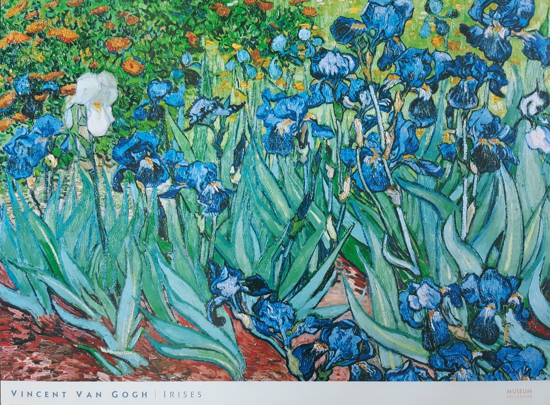 その他 VINCENT    VAN    GOGH Van Gogh Original Art Print - 31.5