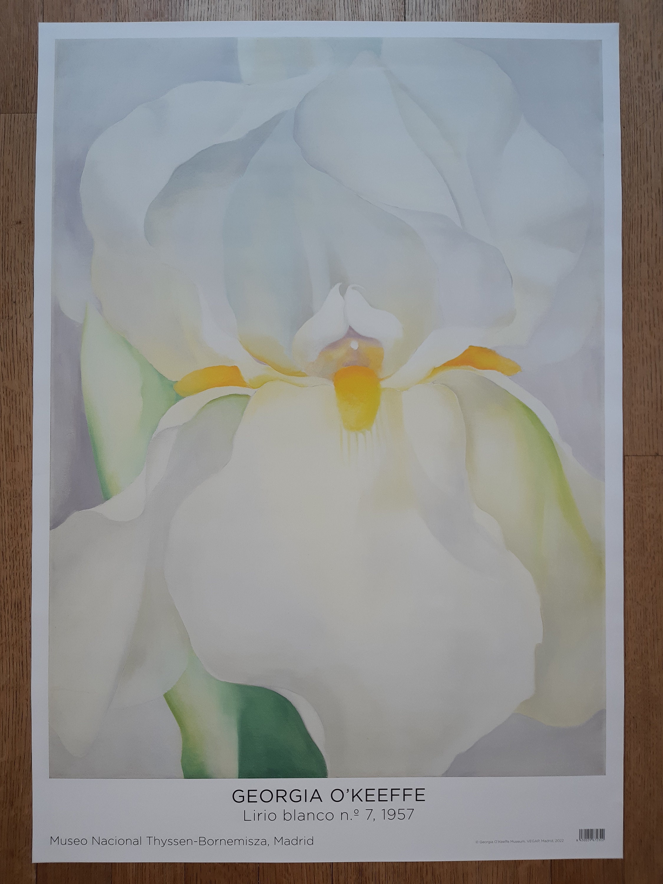 GEORGIA O'KEEFFE ポスター Georgia O'keefe Original Art Poster - 27.0