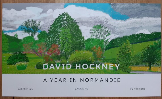 David Hockney Original Art Poster - 39.2
