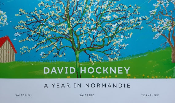 レア　David Hockney ポスター DAVID HOCKNEY RARE 1976 LITHOGRAPH PRINT FRAMED EXHBT POSTER 