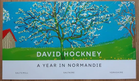 David Hockney Original Art Poster - 39.2