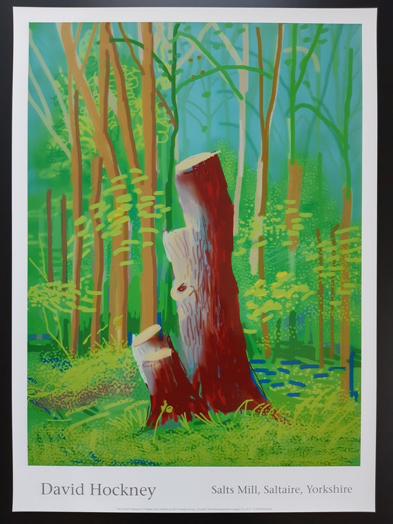 HOCKNEY POSTERS
ハードカバー Hockney Posters: Hockney, David: 9781851452590: Amazon.com: Books