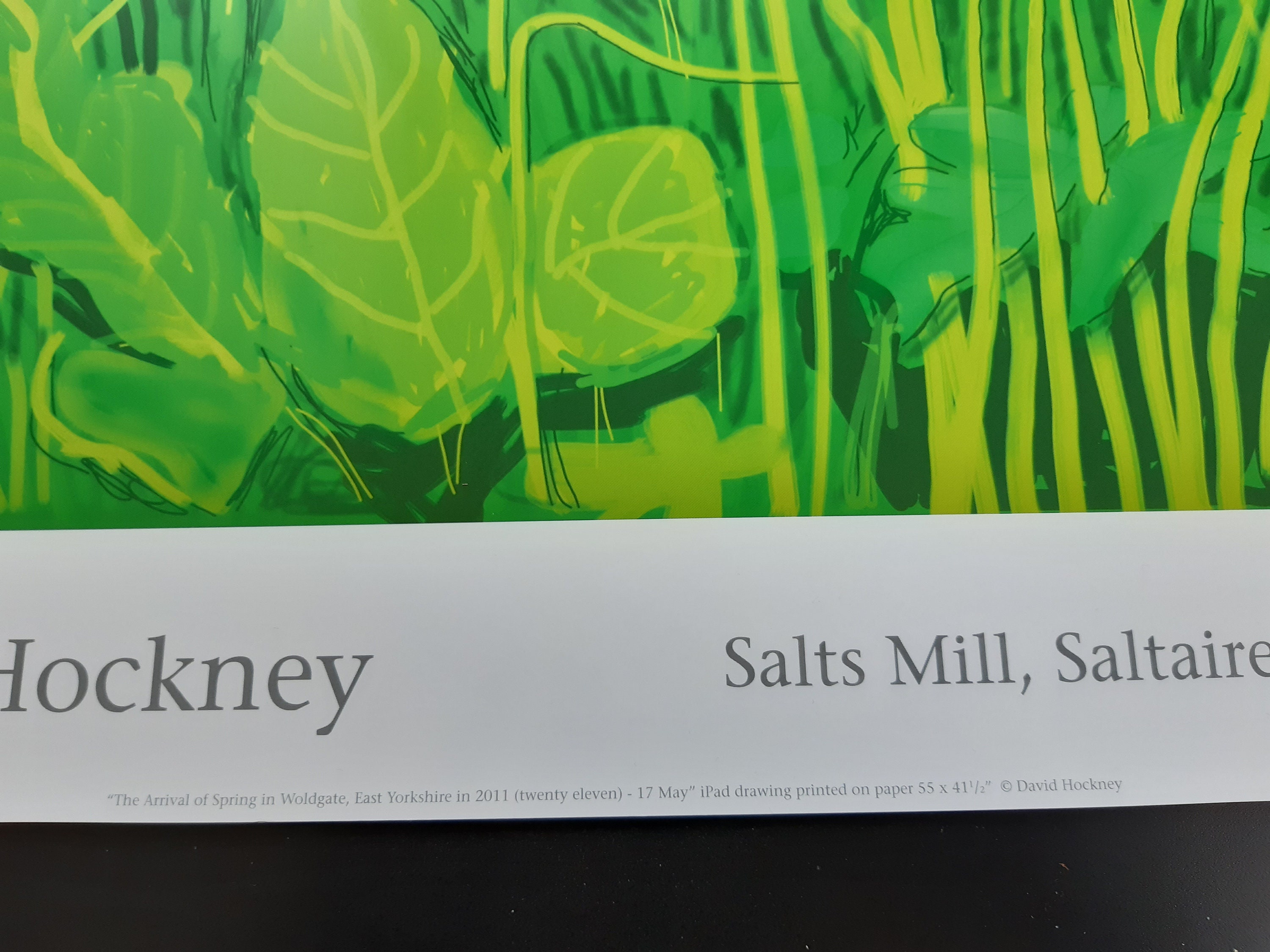 David Hockney Original Art Poster - 18.7
