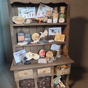 Archäologe Dinosaurier OOAK Miniatur Kuriositätenschrank