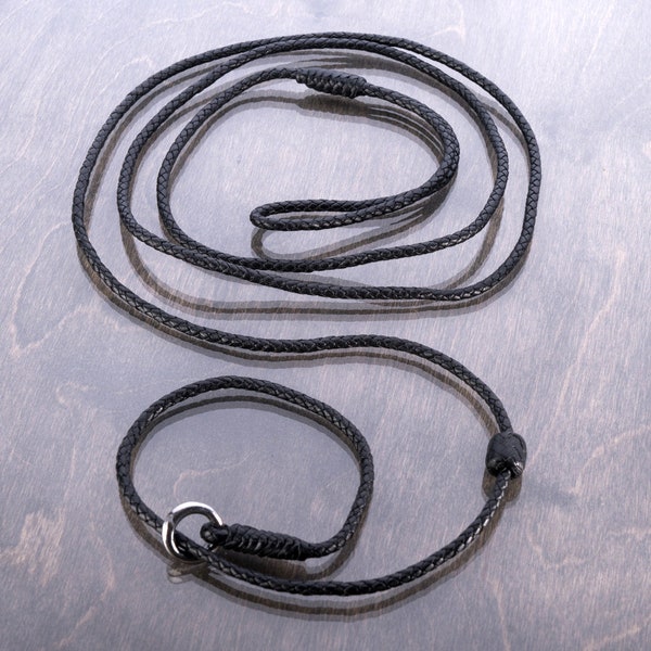 Kangaroo Braided Dog Show Leads Etsy