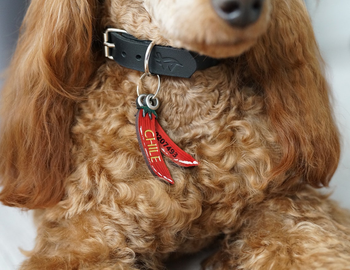 Chili Pepper Dog Tag Name ID for Collar Customised Natural Etsy