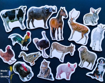 Realistic animals magnets for kids, Set of 16, Magnets for toddlers, Educational toy, Fridge magnets set, Gift for kids, Farm animal toy