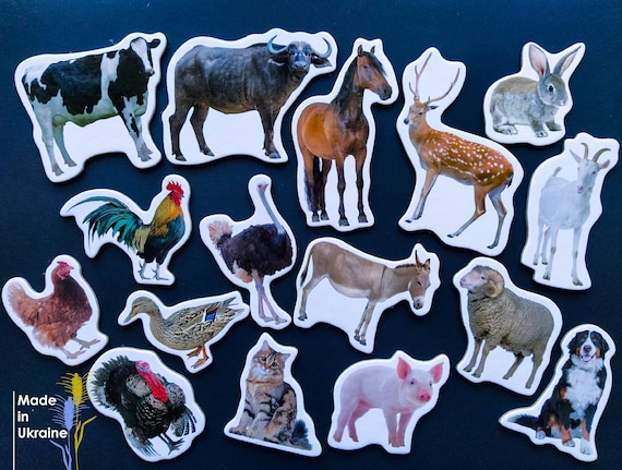 animal magnet gift box set animal magnet gift box set