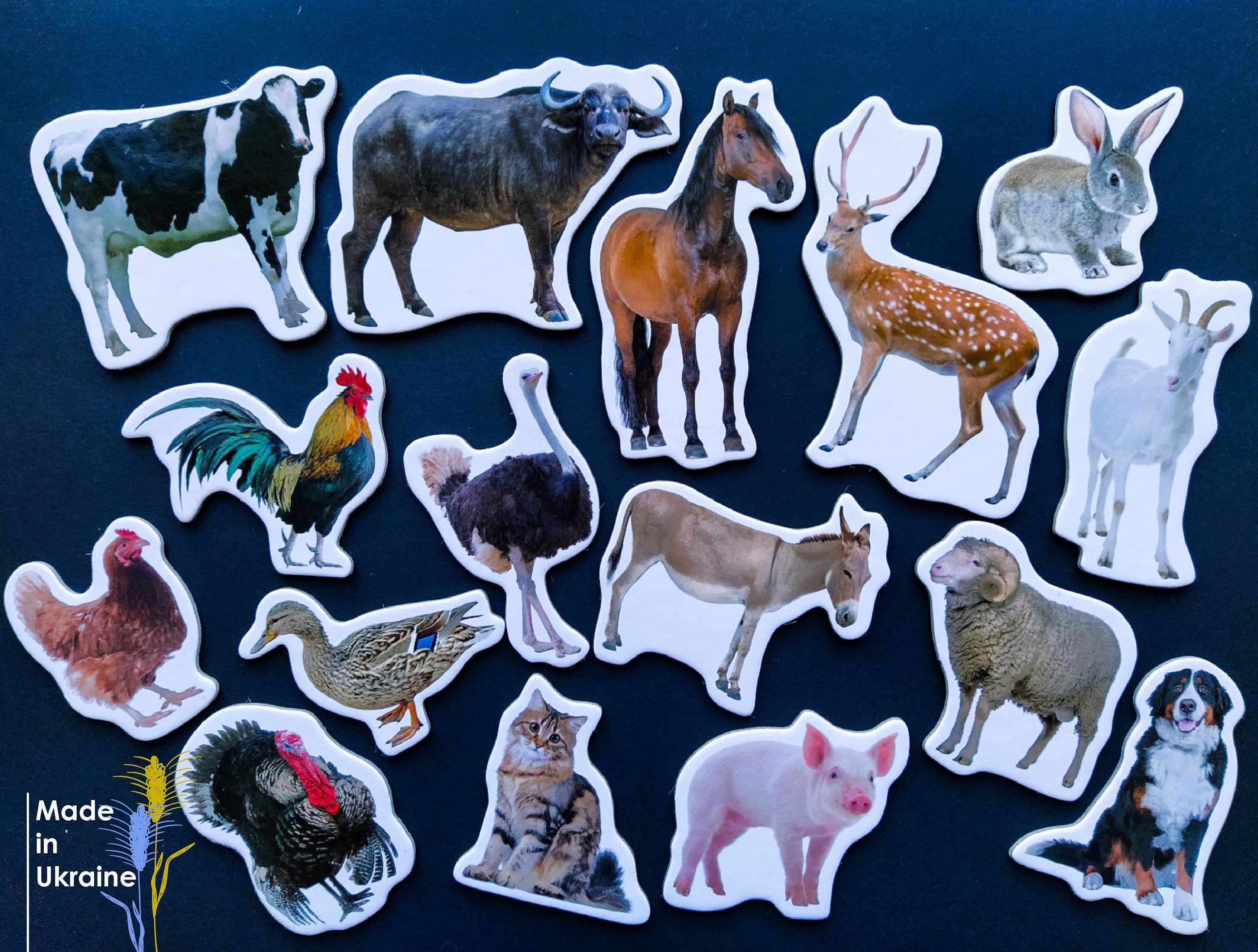 Animal magnets for toddlers new arrivals