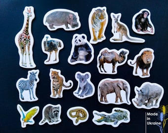 Realistic animals, Fridge magnets for toddlers, Set of 18 wild animals, Memory game, Magnets for board, Gift for kids, Kitchen decor