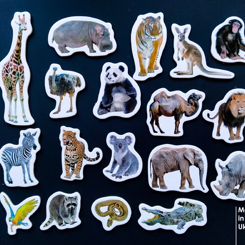 Realistic Animals Fridge Magnets for Toddlers Set of 18 Wild - Etsy UK