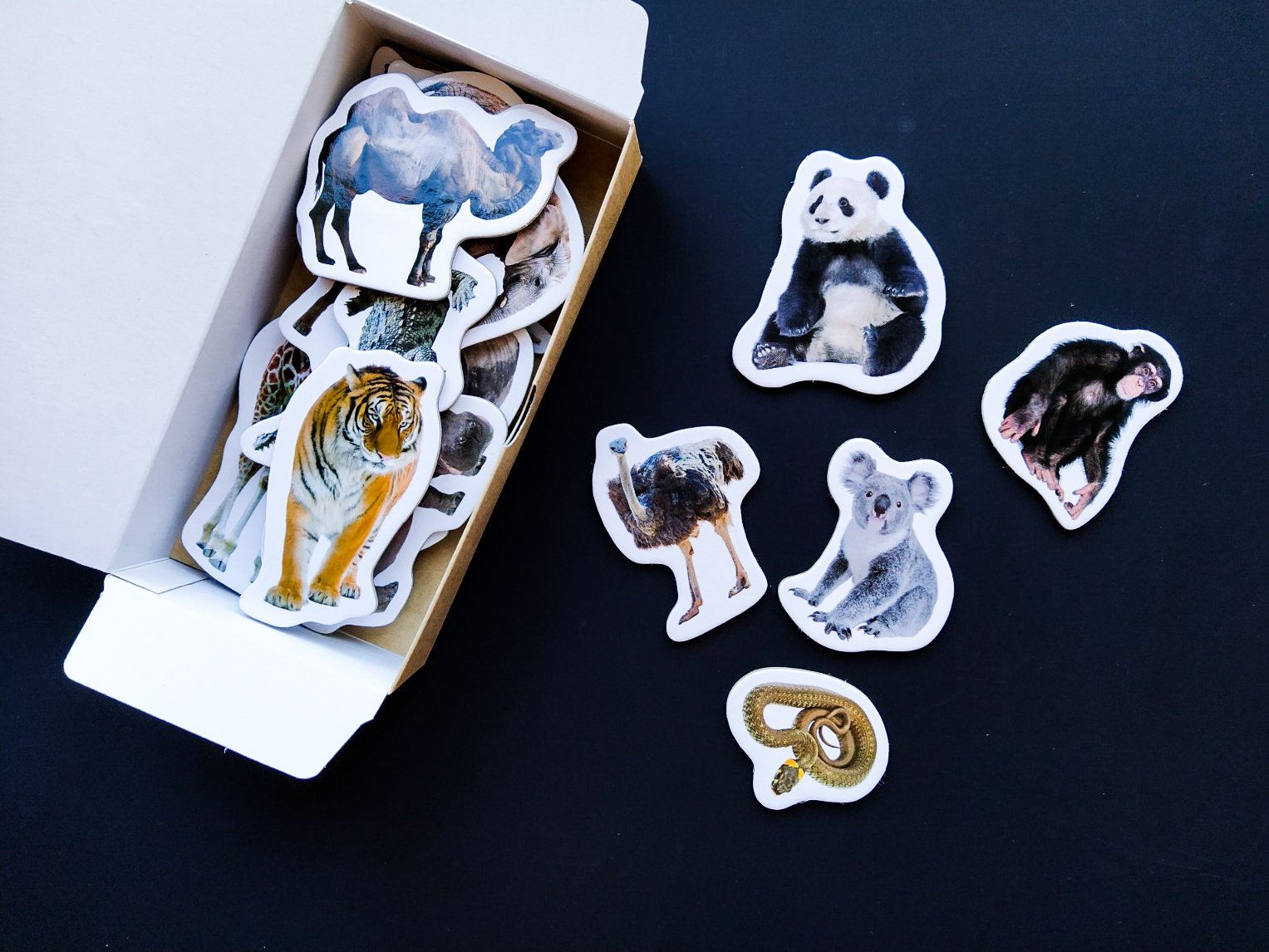Realistic animals Fridge for toddlers Set of 18 wild Etsy