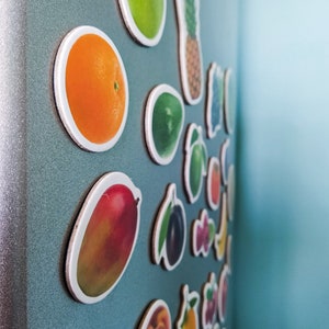 Realistische Lebensmittel Magnete, Set von 25 Früchten, Magnete für Kinder, Kühlschrankmagnete Set, Lernmittel, Kleinkindmagnete, Küchendekor Bild 9