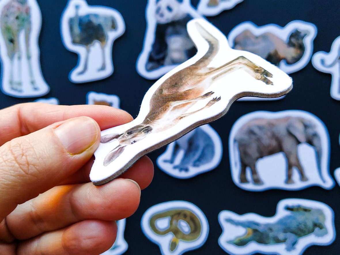 Realistic animals Fridge for toddlers Set of 18 wild Etsy