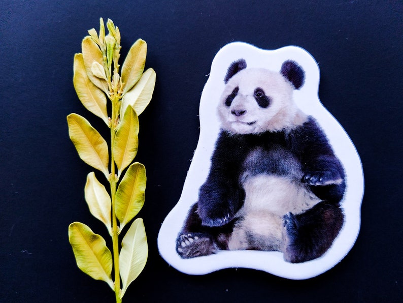 Realistic animals Fridge for toddlers Set of 18 wild Etsy