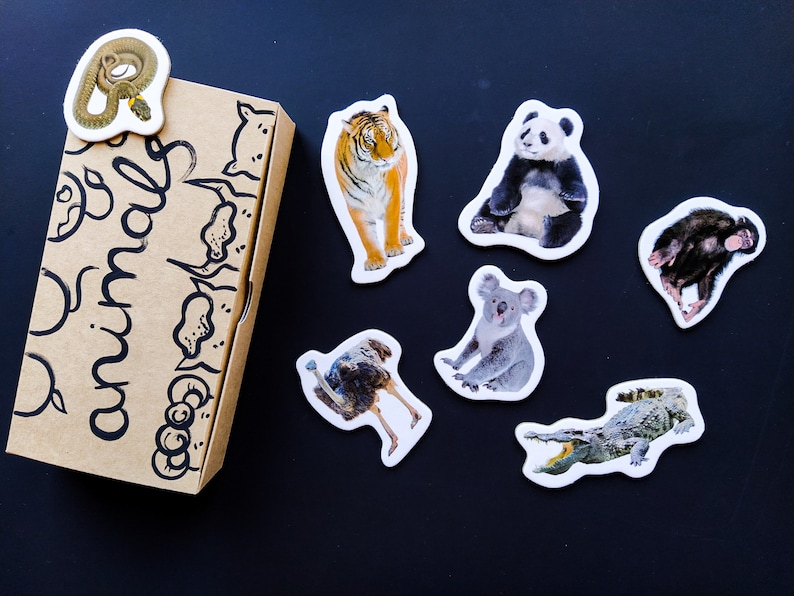 Realistic Animals Fridge for Toddlers Set of 18 Wild Etsy New