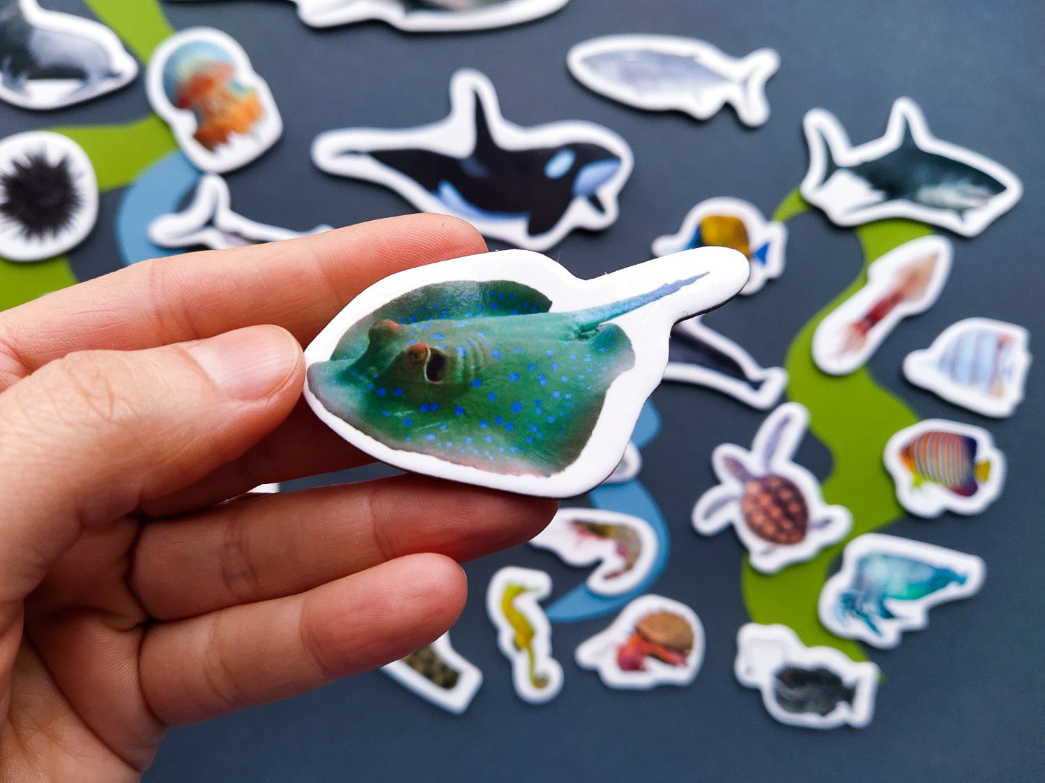 Imanes de animales del océano para niños pequeños, juego de 21 imanes,  decoración de vida marina, juguetes magnéticos, regalo para niños, imanes  para tablero -  México
