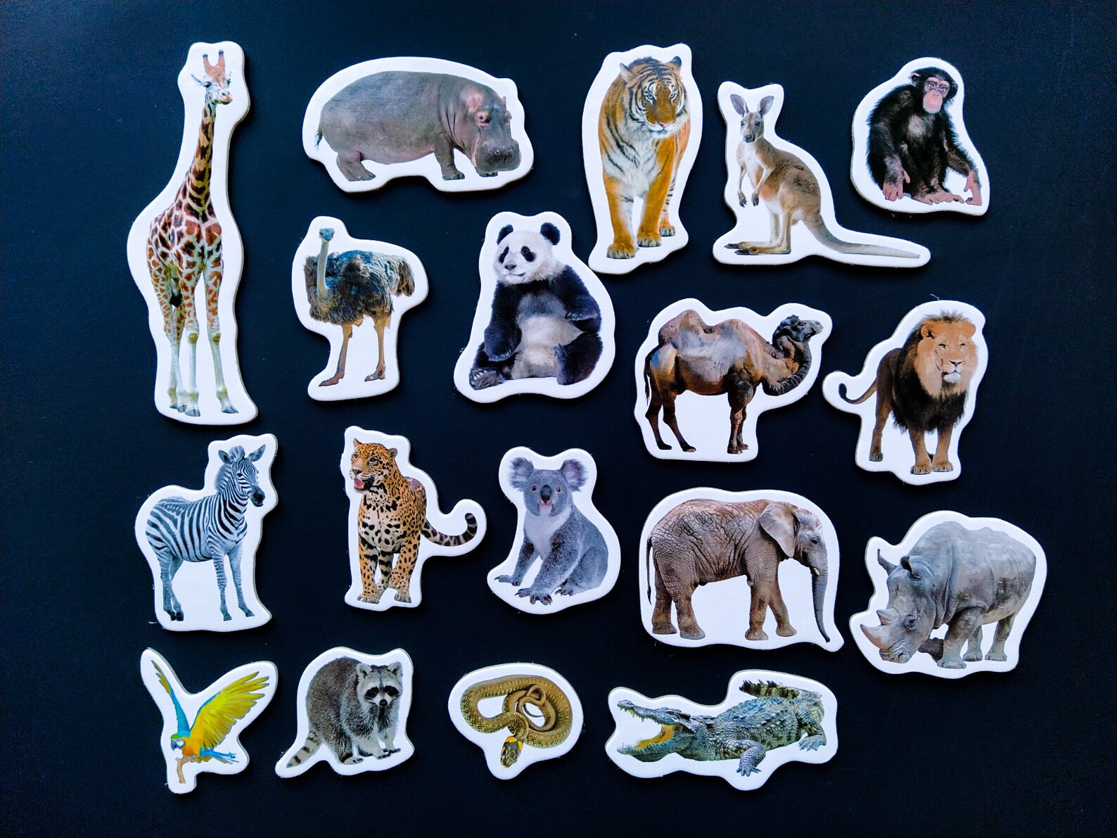 Realistic animals Fridge for toddlers Set of 18 wild Etsy