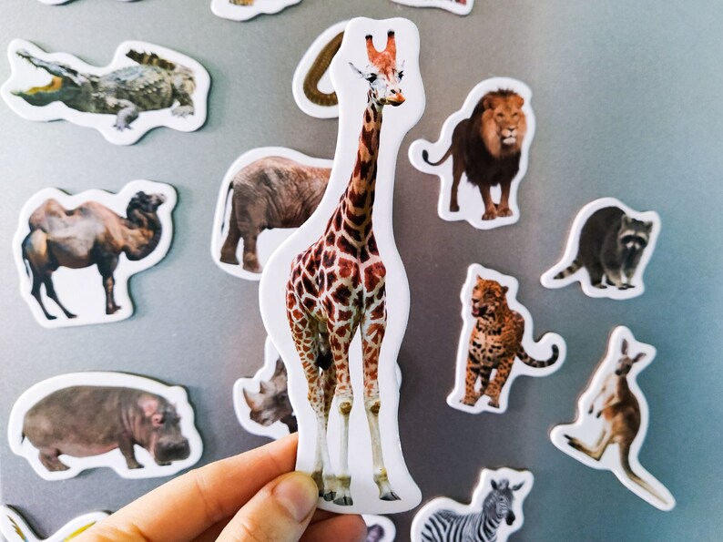 Realistic animals Fridge for toddlers Set of 18 wild Etsy