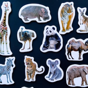 Realistische Tiere Magnete für Kinder, Kühlschrankmagnete Set mit 18 Safaritieren, Vorschullernspielzeug, Magnete für Tafel, Küchendekoration